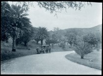 Three priests with an automobile at Moanalua Gardens, Oahu.